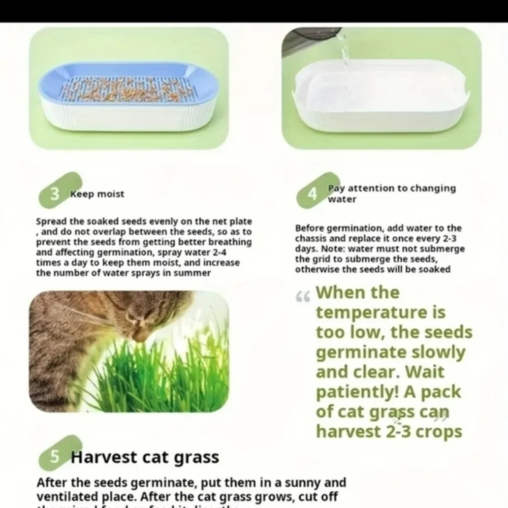 Organic Hydroponic Soil Free Cat Grass Box‎ Cat Nip Blue and White NWT